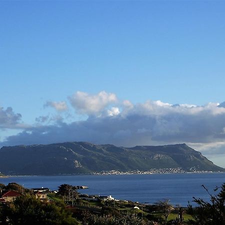Restio Garden Studio Simonʼs Town エクステリア 写真